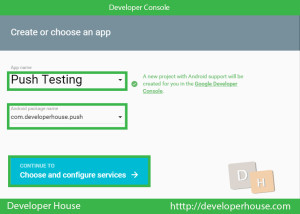 Google Project Console